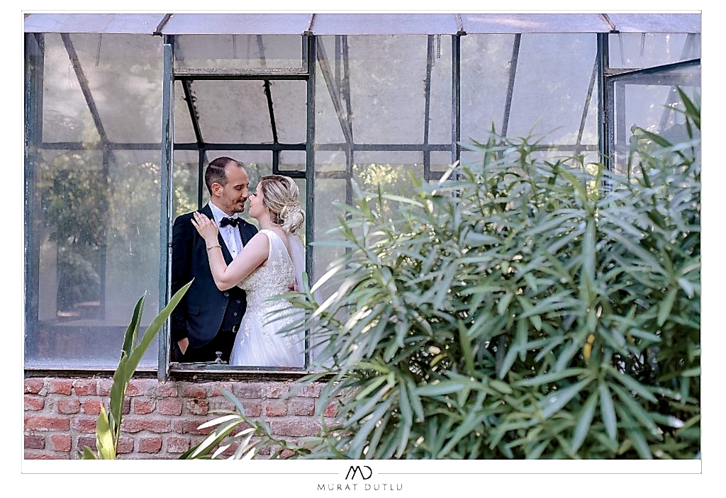 Edward Whittall garden dış çekim fotoğrafçı